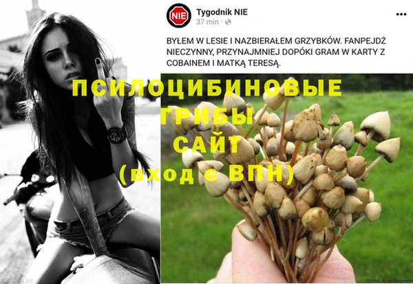 COCAINE Аркадак