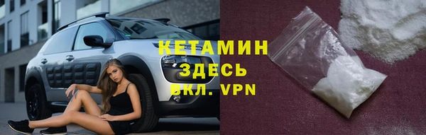 индика Арсеньев