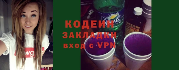 индика Арсеньев