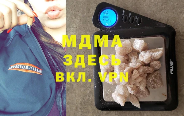 индика Арсеньев