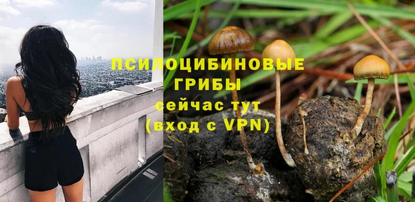 индика Арсеньев