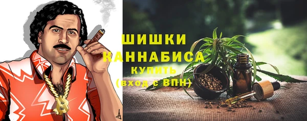 индика Арсеньев