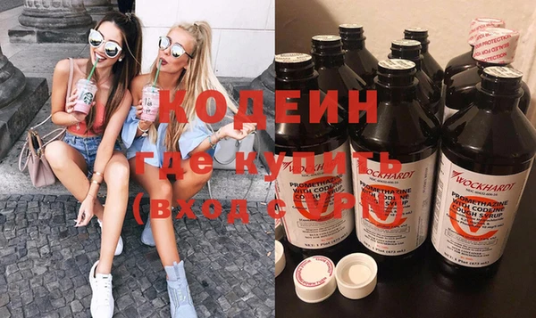 индика Арсеньев