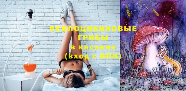 индика Арсеньев