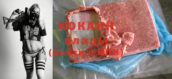 индика Арсеньев