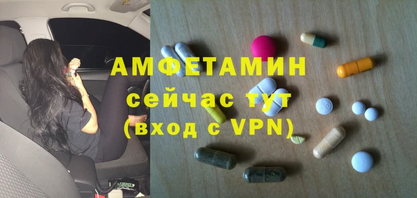 индика Арсеньев
