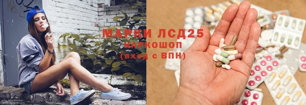 индика Арсеньев