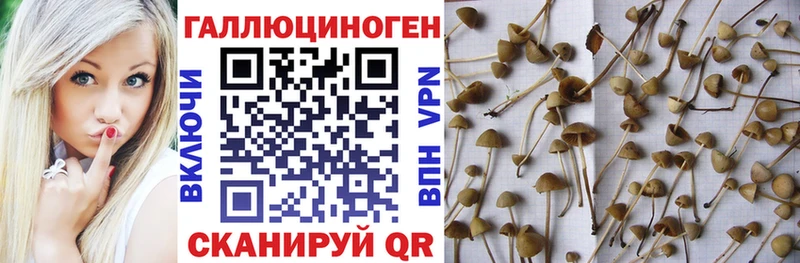 Галлюциногенные грибы ЛСД  Урай 